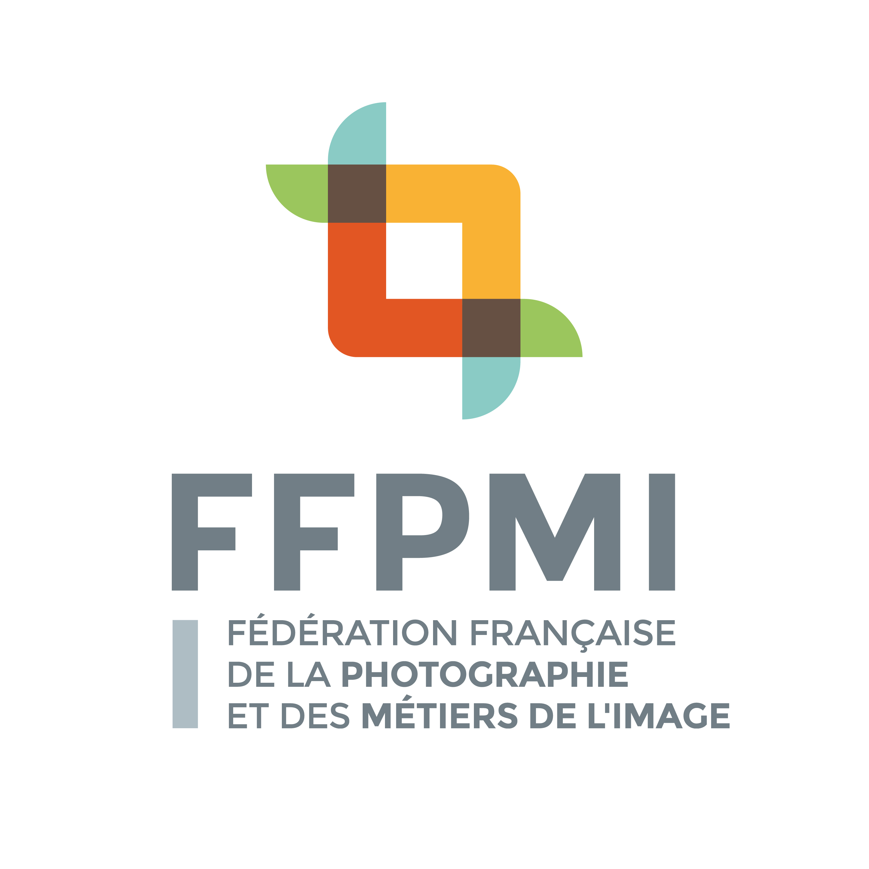 FFPMI logo